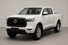GWM P300